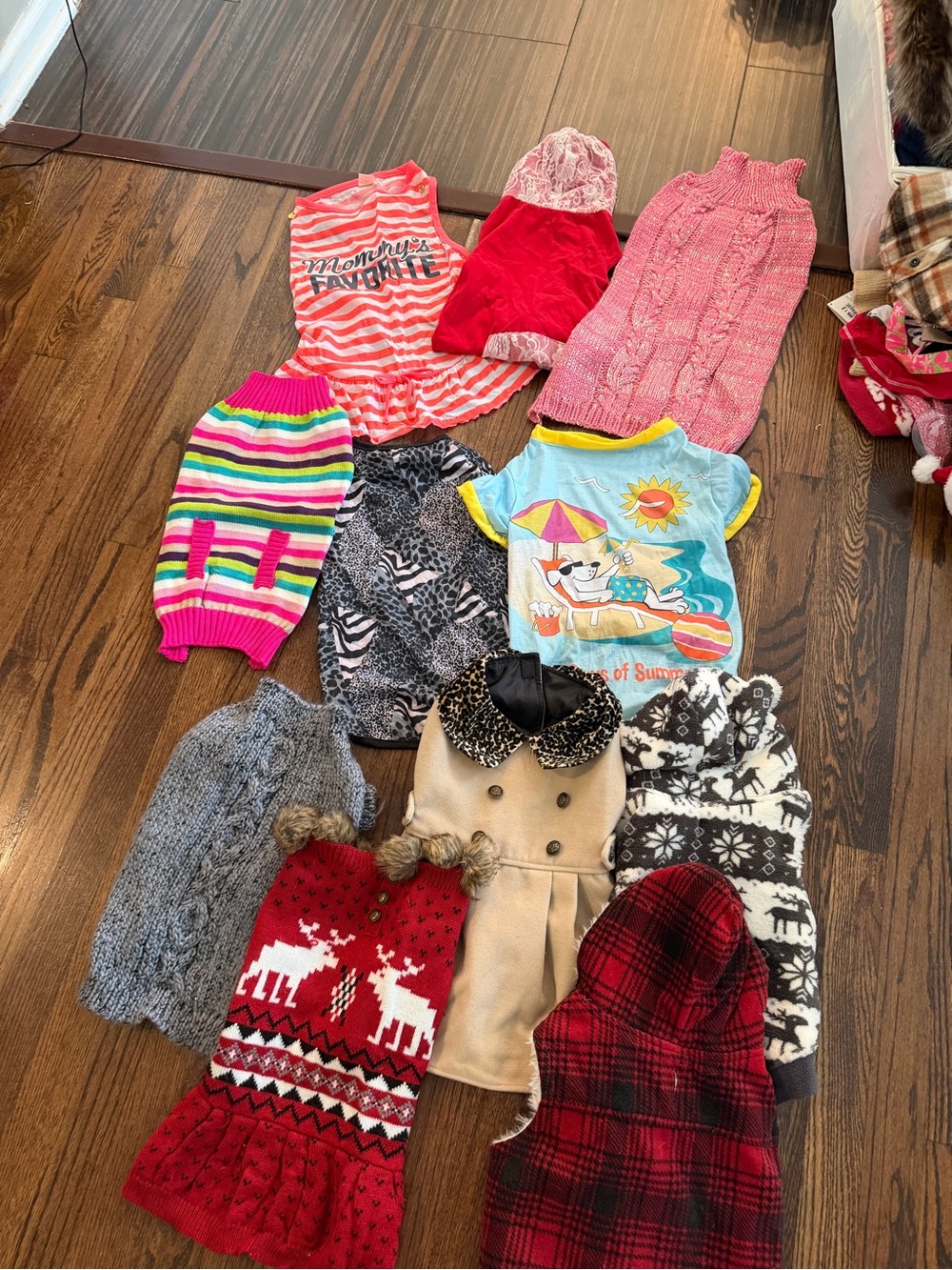 Girls dog bundle of clothes size large